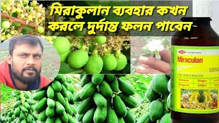 মিরাকুলানের ব্যবহারMirakulanMirakulan pgr haw to use [upl. by Wera563]