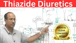 Role of Thiazides in Diabetes Insipidus Mechanism and Rationale for using Thiazides [upl. by Tuinenga]