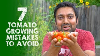 7 Tomato Growing Mistakes to Avoid [upl. by Ial356]