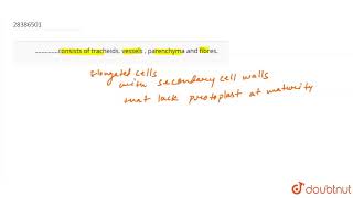 ����consists of tracheids vessels  parenchyma and fibres [upl. by Westmoreland]