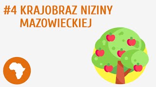 Krajobraz Niziny Mazowieckiej 4  Krajobraz Polski [upl. by Bohman]