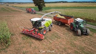 ENSILAGE MAÏS 2023   CLAAS JAGUAR 860  SARL TESSONNEAU 17 [upl. by Dorin748]