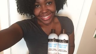 RenPure Coconut Creme Shampoo amp Conditioner DemoReview [upl. by Chap139]