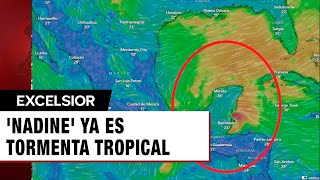 Nadine ya es Tormenta Tropical pega en Belice y Quintana Roo [upl. by Elolcin355]