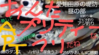 愛知県田原市の堤防！ハゼは二度食う？魚のダンスに遭遇？アジかあいいに感動！！昼の部 [upl. by Anivlac572]