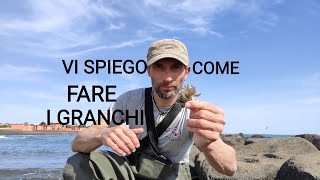 VI SPIEGO COME FARE I GRANCHI TUTORIAL [upl. by Waverley]