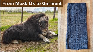 Musk Ox to Garment [upl. by Janaye50]