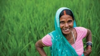 Empowering Women in Agriculture Rural Womenled Vegetable Farming Project [upl. by Temhem239]