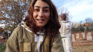 Winterizing Our Honey Bees on The Honeystead [upl. by Adigirb275]