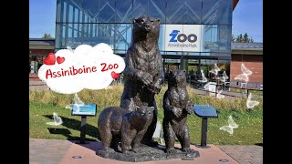 Assiniboine Zoo Canada  360° Theatre Rhythm of the North  Aurora Borealis  WinterpegAngel [upl. by Cory474]