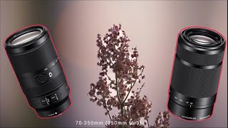 Sony E 70350mm f4563 g oss VS Sony E 55210mm f4563 Bokeh [upl. by Eresed]