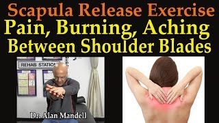 Scapula Release Exercise for Pain Burning Aching Between Shoulder Blades  Dr Mandell [upl. by Livy]