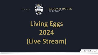 Reddam House Berkshire  Living Eggs 2024  Live Stream  Day 2 [upl. by Nywg]