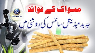 Miswak Ke Fayde  jadeed medical science ki Roshni main  Paigham TV Official [upl. by Assennav]