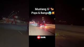 Stang Pops and Bangs Tuned😱💥🔥 [upl. by Nordin]