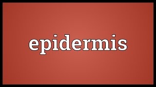 Epidermis Meaning [upl. by Aruol84]