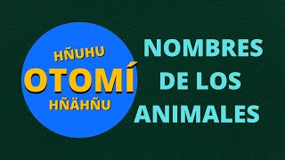 Los nombres de los animales en Otomí  1 [upl. by Hermy]