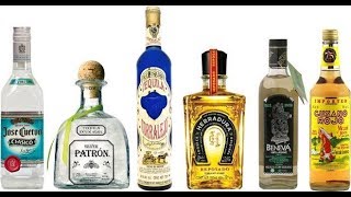 About Tequila  Best Tequila  What to Buy [upl. by Akcirret694]