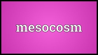 Mesocosm Meaning [upl. by Nyre]