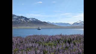 Natural Wonders of Iceland Small Ship Expedition Cruises [upl. by Kosak]