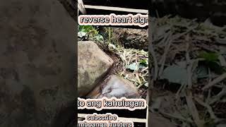 yamashitatreasure kahulugan Ng heart shaped na bato buriedtreasure [upl. by Hiltner994]