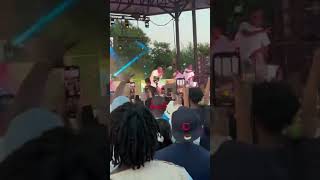 Ali kiba at afro fest Toronto Canada 2024 [upl. by Yeltneb849]