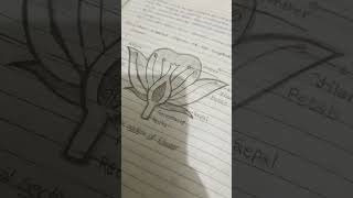 Draw a longitudinal section of flowershortsvideo [upl. by Lindley]