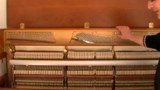 Inside an Upright Piano [upl. by Hadden337]