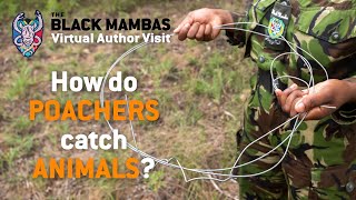 How do poachers use snares to catch animals [upl. by Bonina]