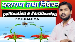 Pollination and Fertilization परागण और निषेचन क्या होता है  Cross Pollination  Self Pollination [upl. by Darwen]