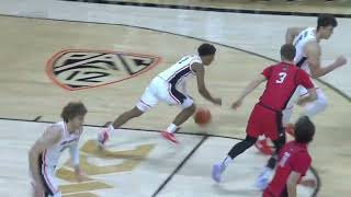 Oregon State Mens Basketball Highlights Vs Western Oregon 111224 [upl. by Enaffit]