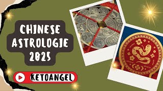 Chinese Astrologie 2025 Horoscoop en Voorspellingen voor het Jaar van de Houten Slang [upl. by Aekerly858]