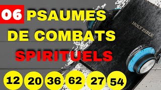 Psaume 12203662275406 psaumes de combat amp delivranceversets bibliques de combats spirituels [upl. by Dupre]