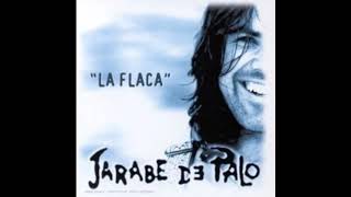 La flaca Jarabe de Palo Con letra [upl. by Ardnod]