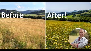 Creating a Meadow in the Conwy Valley Spring into Action with Plantlife talk [upl. by Lev]