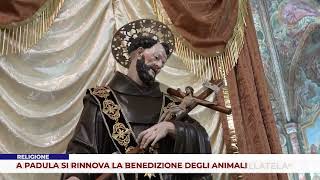 RELIGIONE A PADULA SI RINNOVA LA BENEDIZIONE DEGLI ANIMALI [upl. by Eduino]