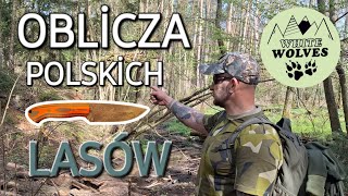 WİOSNA 2024  LAS  GŁOSY NATURY İNÓŻ DO BUSHCRAFTU przyrodapolska biwak las [upl. by Willem]