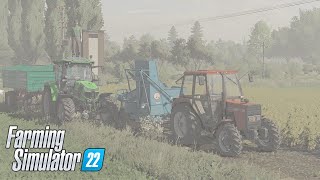 AKCJA ZIEMNIAKI 🥔Sąsiad w pomocy 👨‍🌾 Młody rolnik 4 [upl. by Ahseka]