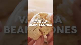 Copycat Starbucks Vanilla Bean Scones at Home shorts [upl. by Kciv]