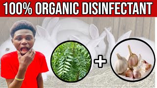 How To Make Organic Disinfectant  Rabbit Farming rabbitry guineapig animals funny [upl. by Oinotna44]