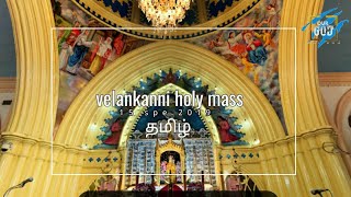 velankanni live mass today  holy mass in tamil velankanni church velankanni live [upl. by Netti816]