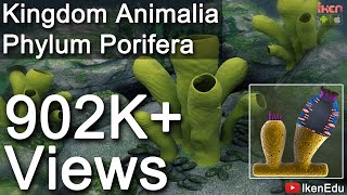 Learn Biology Kingdom Animalia Phylum Porifera iKen  iKen Edu  iKen App [upl. by Erolyat]