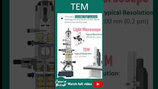 Transmission Electron Microscopy TEM explained in 1 minutes  Techniques in biology playlist [upl. by Aseretairam]