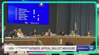 Hillsborough County commissioners appeal ballot measure [upl. by Anilatac]