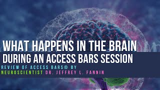 Review of Access Bars® by Neuroscientist Dr Jeffrey L Fannin [upl. by Marvella]