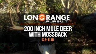 Long Range Pursuit  S3 E16 200 Inch Mule Deer with Mossback [upl. by Scheld]