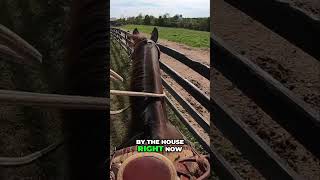 Exploring Equestrian Life on Our Ranch  Horseback Riding [upl. by Notselrahc]