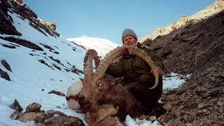 IBEX TIAN SHAN KIRGHIZSTAN hunting Chasse since 1990 by Seladang [upl. by Eiboh]