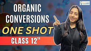 All ORGANIC CONVERSIONS of NCERT Class 12 ONESHOT  Boards  NEET neet cbse cbseboard neet2024 [upl. by Tonjes188]