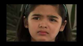 ANNALIZA January 27 2014 Teaser [upl. by Yttig]